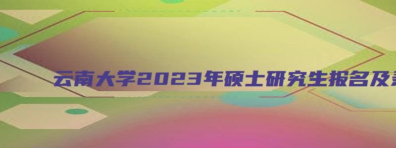 云南大学2023年硕士研究生报名及录取情况统计表