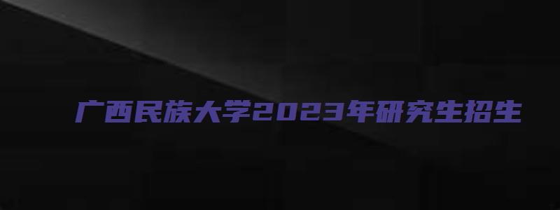 广西民族大学2023年研究生招生