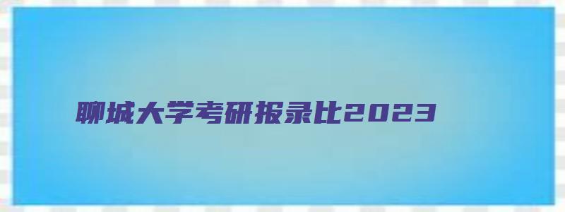 聊城大学考研报录比2023