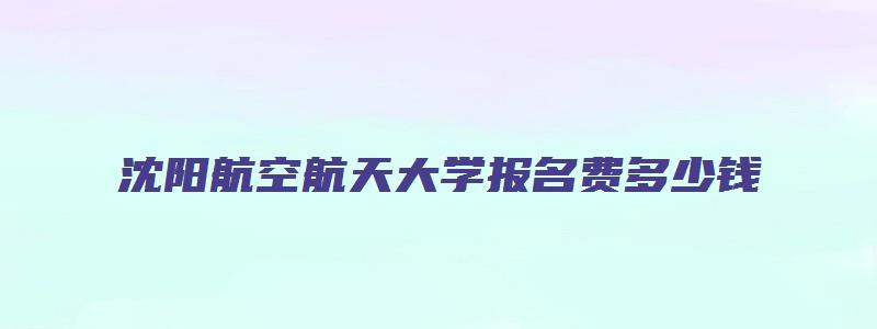 沈阳航空航天大学报名费多少钱