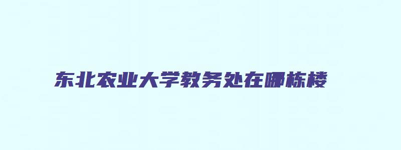 东北农业大学教务处在哪栋楼