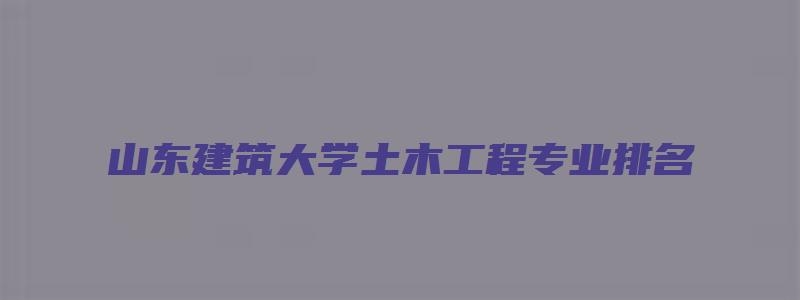 山东建筑大学土木工程专业排名