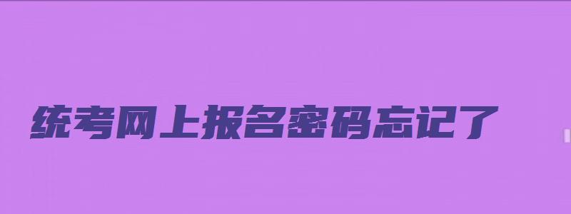 统考网上报名密码忘记了