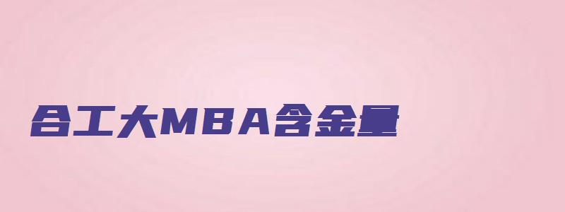 合工大MBA含金量