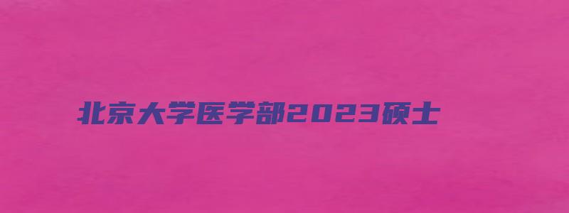 北京大学医学部2023硕士