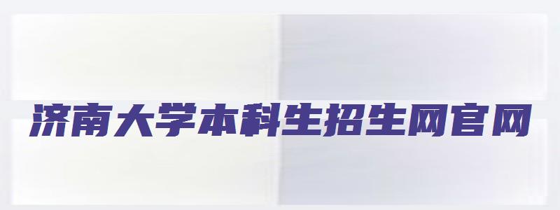 济南大学本科生招生网官网