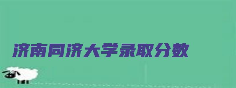 济南同济大学录取分数