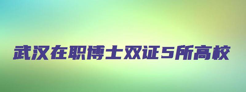 武汉在职博士双证5所高校