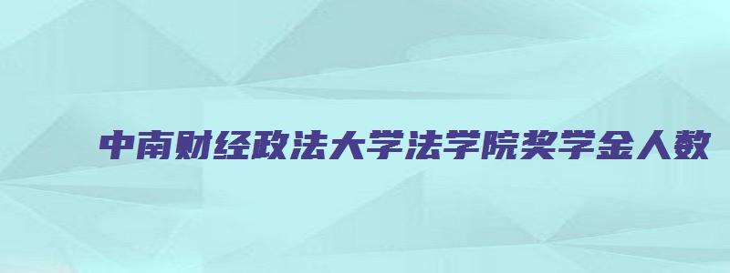 中南财经政法大学法学院奖学金人数