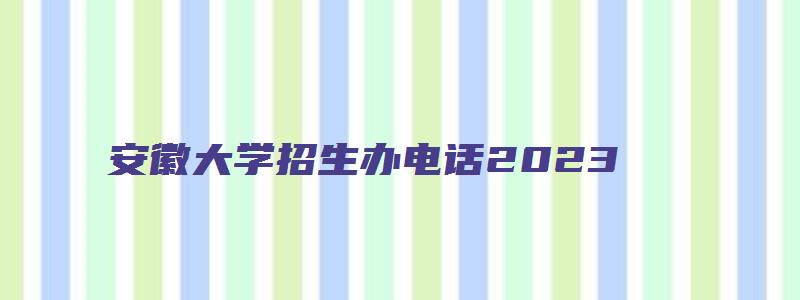 安徽大学招生办电话2023