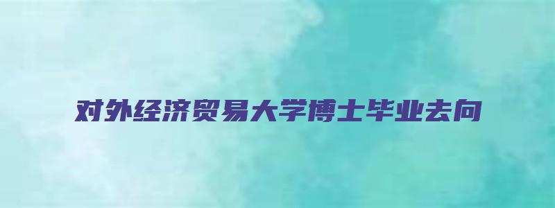 对外经济贸易大学博士毕业去向