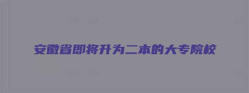 安徽省即将升为二本的大专院校