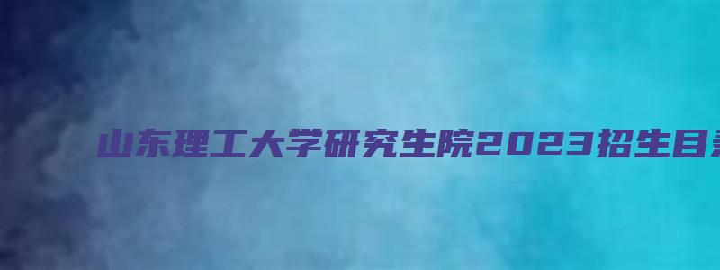 山东理工大学研究生院2023招生目录