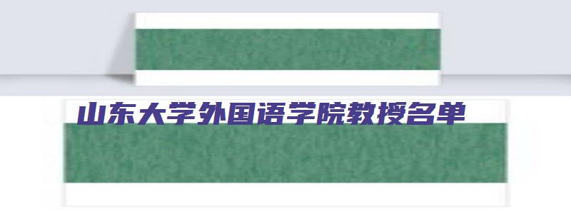 山东大学外国语学院教授名单