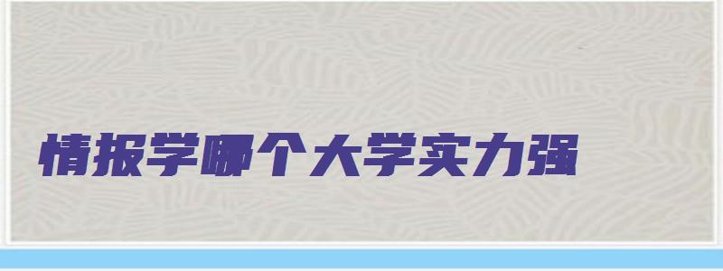 情报学哪个大学实力强