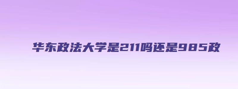 华东政法大学是211吗还是985政