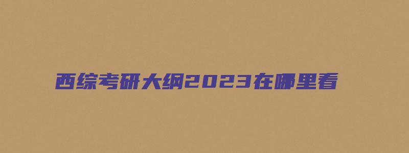 西综考研大纲2023在哪里看