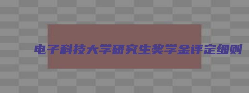 电子科技大学研究生奖学金评定细则