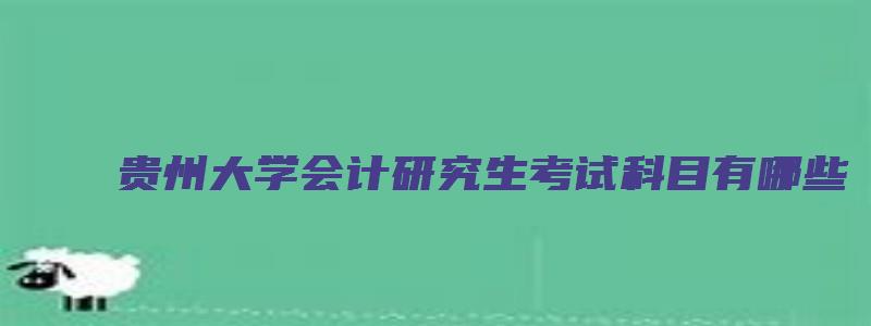 贵州大学会计研究生考试科目有哪些