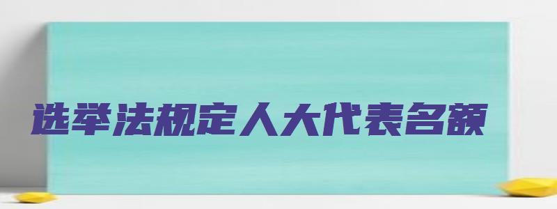 选举法规定人大代表名额