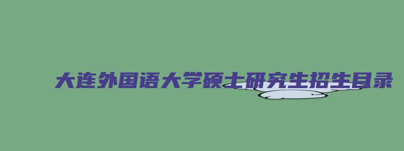 大连外国语大学硕士研究生招生目录