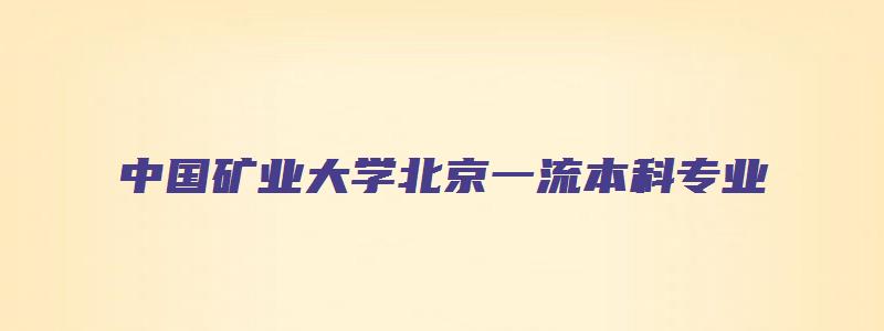 中国矿业大学北京一流本科专业