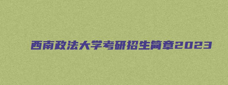 西南政法大学考研招生简章2023