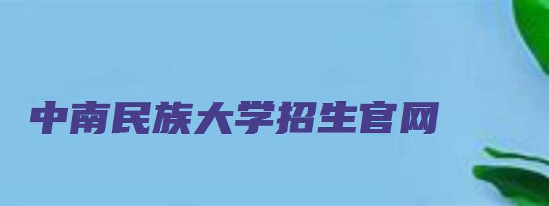 中南民族大学招生官网