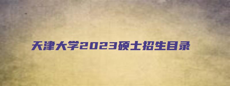 天津大学2023硕士招生目录