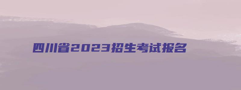 四川省2023招生考试报名