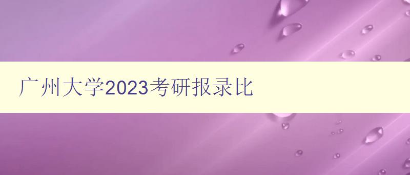 广州大学2023考研报录比