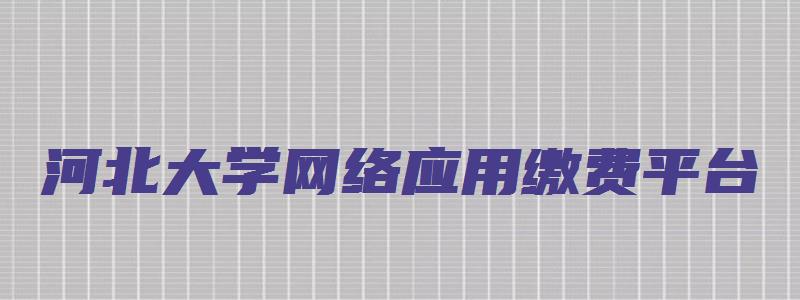 河北大学网络应用缴费平台