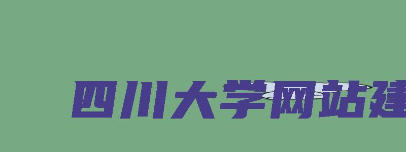 四川大学网站建设