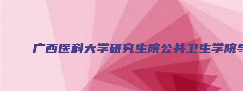 广西医科大学研究生院公共卫生学院导师