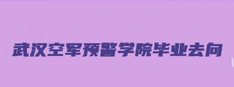 武汉空军预警学院毕业去向