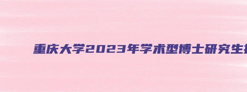 重庆大学2023年学术型博士研究生招生简章