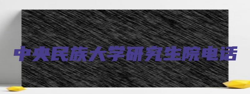 中央民族大学研究生院电话