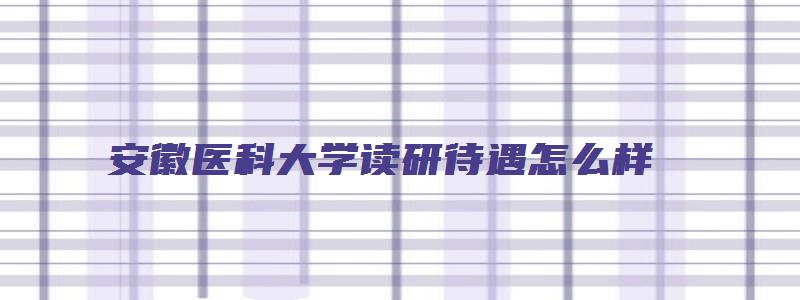 安徽医科大学读研待遇怎么样