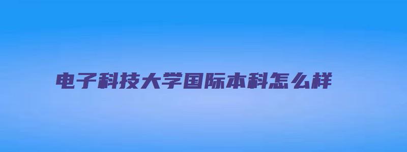 电子科技大学国际本科怎么样