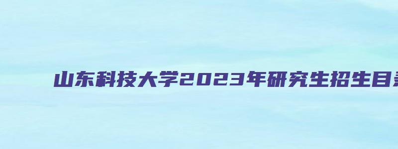 山东科技大学2023年研究生招生目录