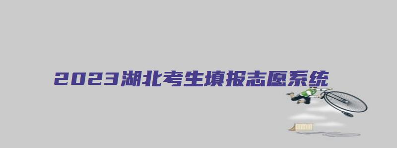 2023湖北考生填报志愿系统