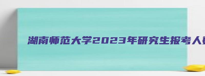 湖南师范大学2023年研究生报考人数