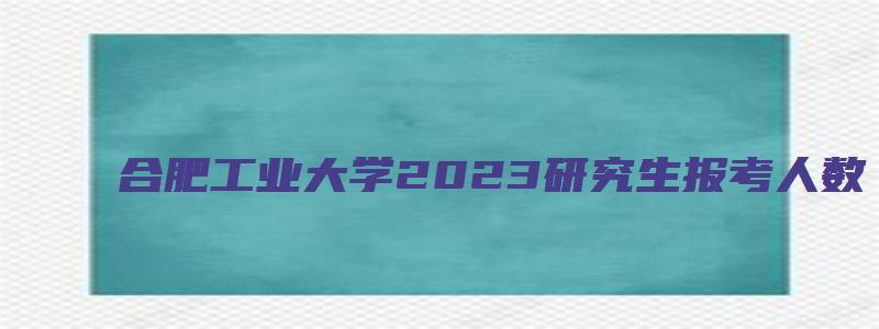 合肥工业大学2023研究生报考人数