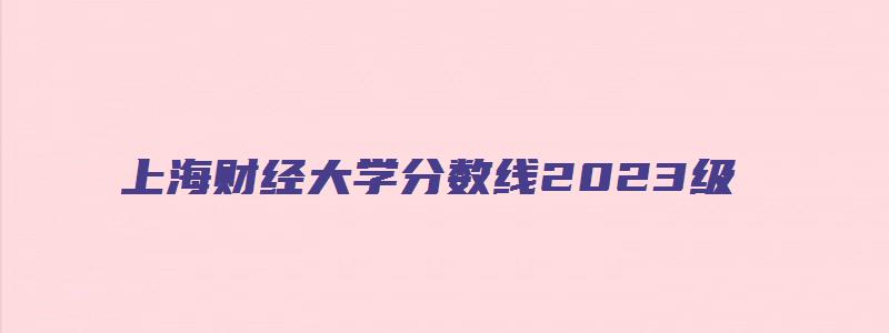 上海财经大学分数线2023级