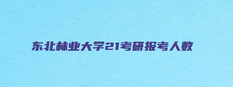 东北林业大学21考研报考人数