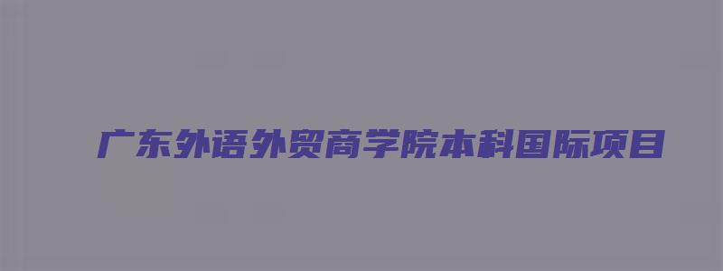 广东外语外贸商学院本科国际项目