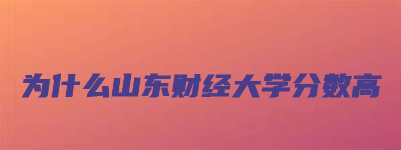 为什么山东财经大学分数高