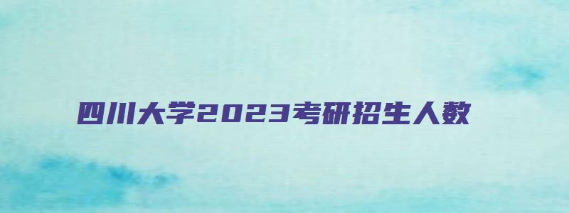 四川大学2023考研招生人数