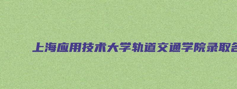 上海应用技术大学轨道交通学院录取名单