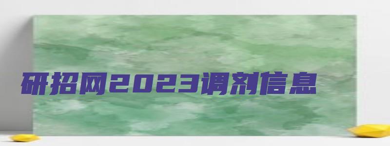 研招网2023调剂信息